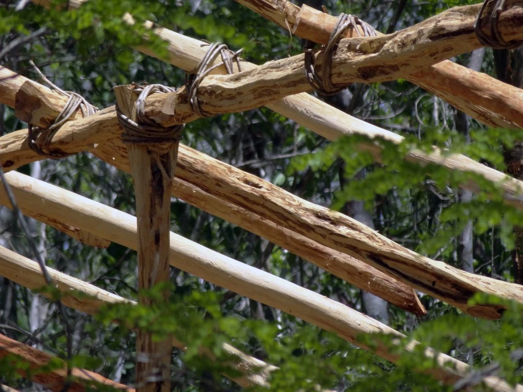 Detalle de amarres con bejuco (AK en Maya)