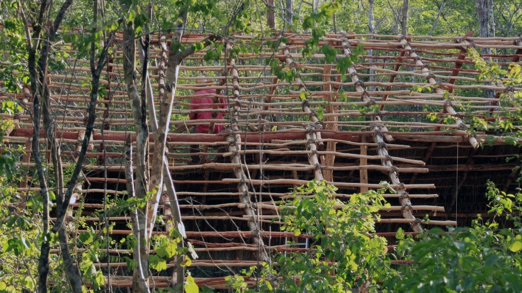 Colocación de viguetas (GILES en Maya)