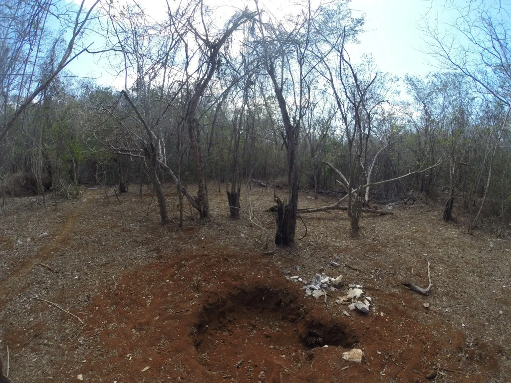 De todo el terreno decidimos que esta iba a ser la zona para la construcción del gallinero