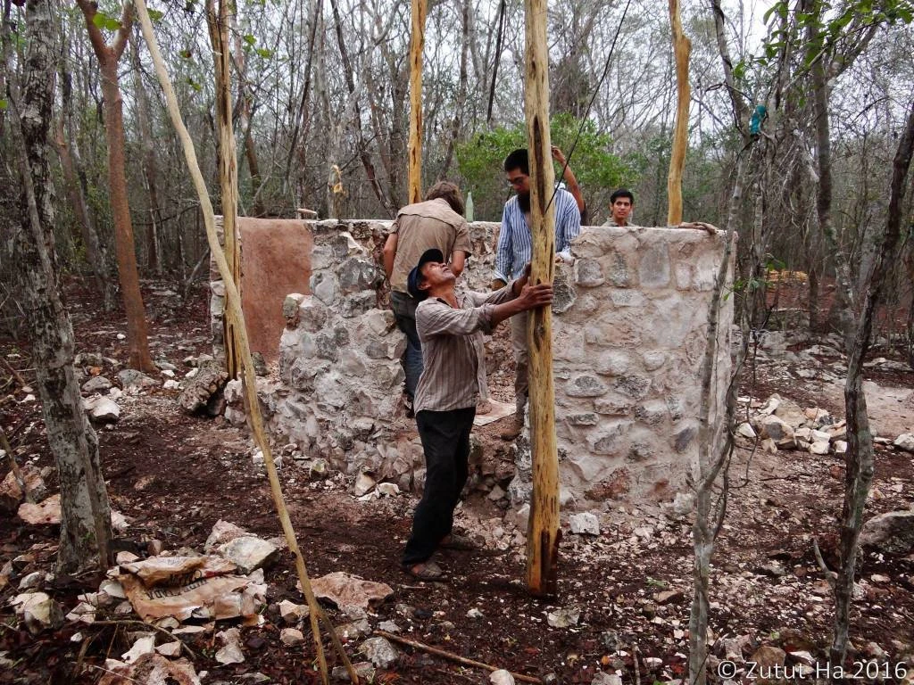 Colocación de columnas