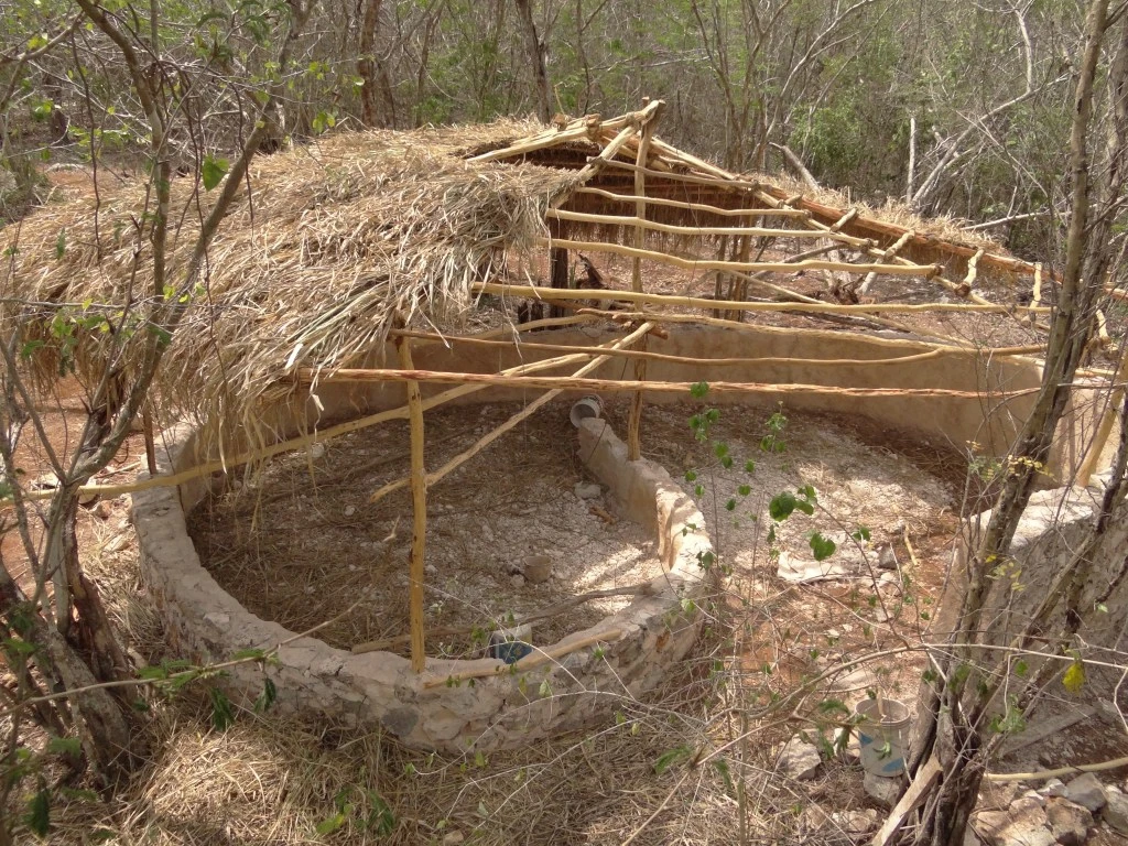 Colocación de zacate