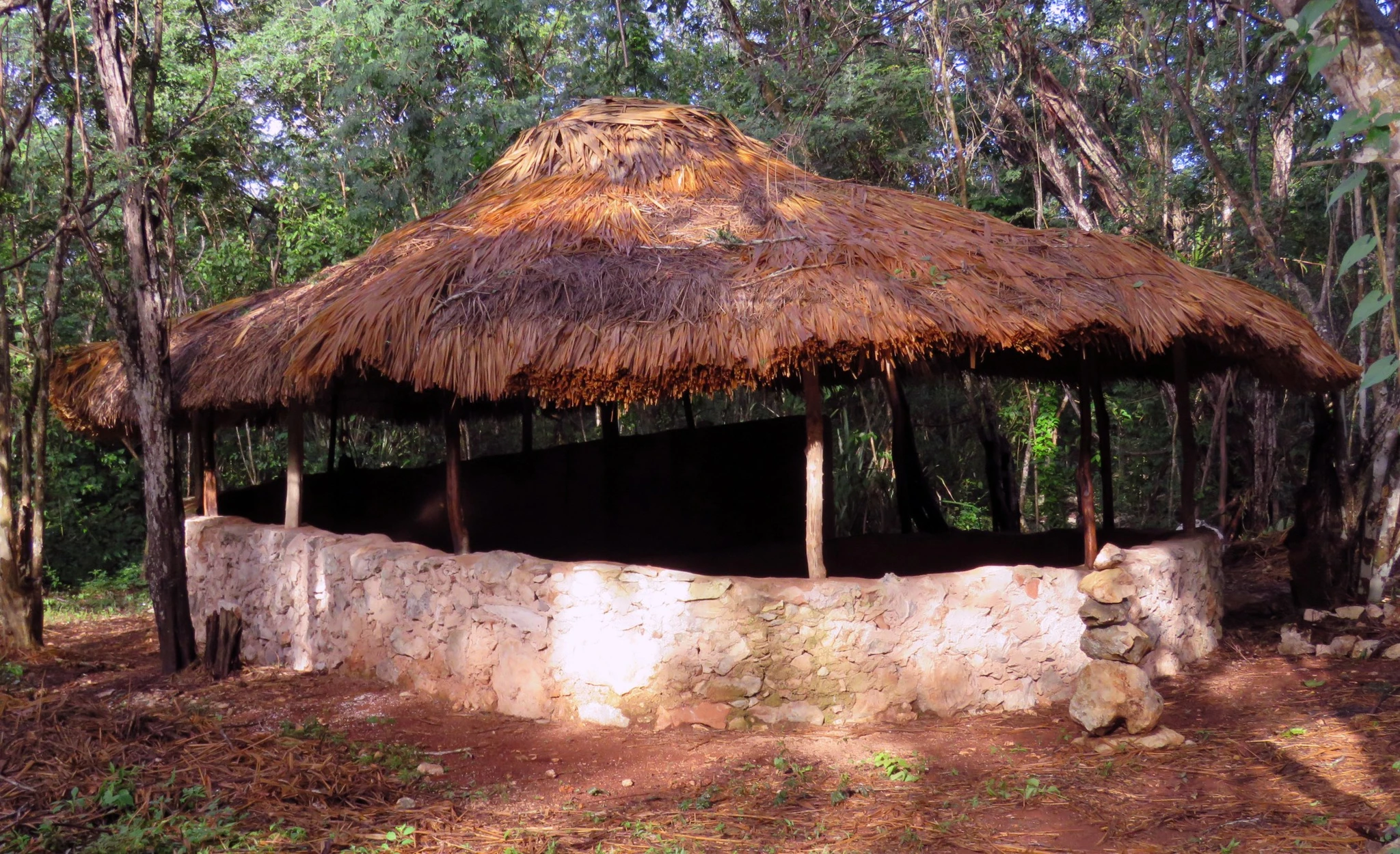 Gallinero