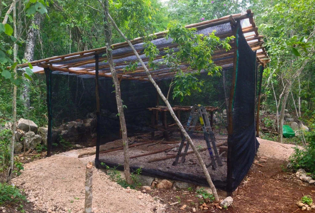 Las paredes las pusimos de malla sombra para que el viento pueda circular y no se concentre el calor pero que proteja a los almácigos de insectos, reptiles y aves