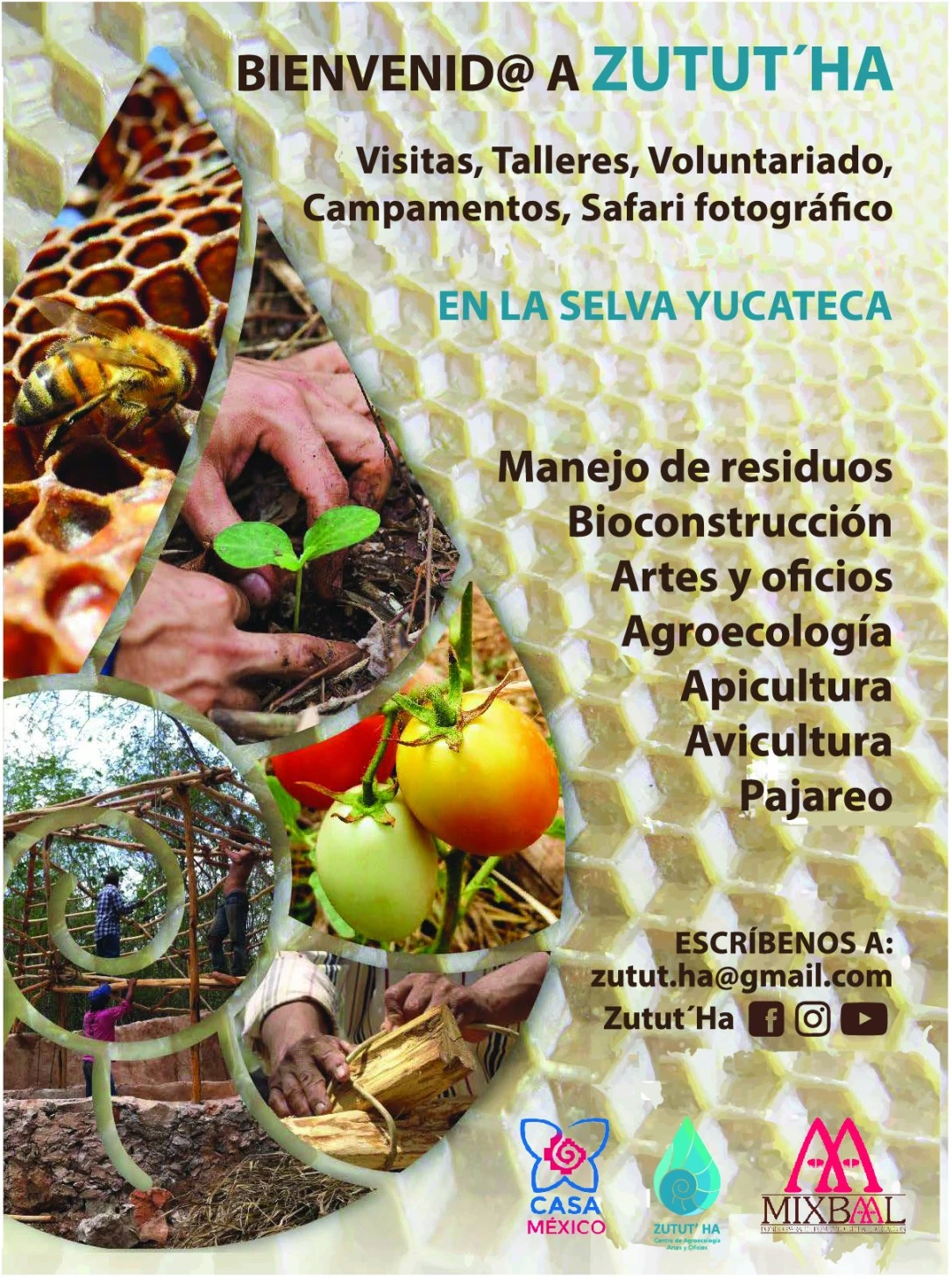 CartelVOL ESP2019(1)