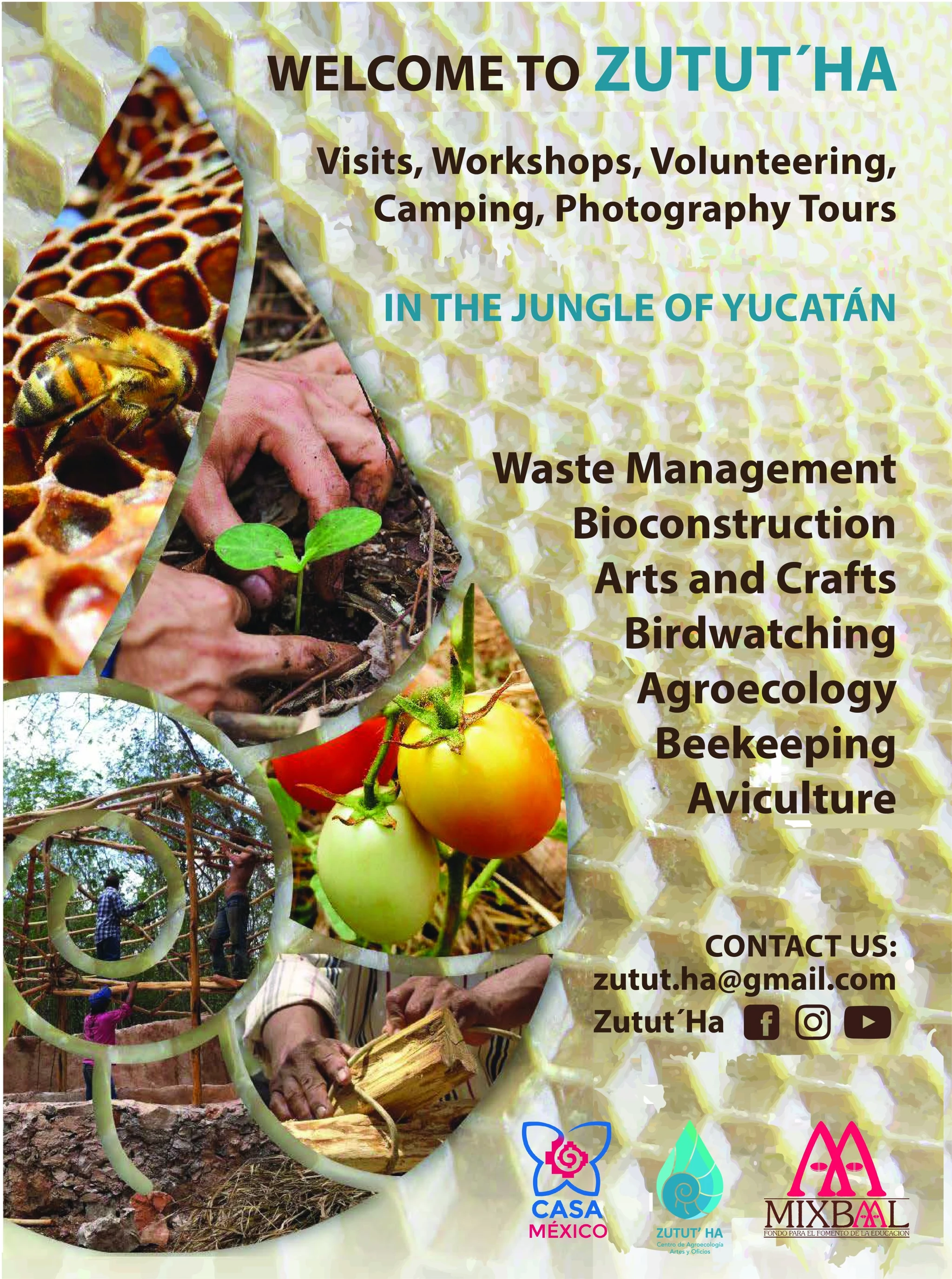 CartelVOL ING2019(1)